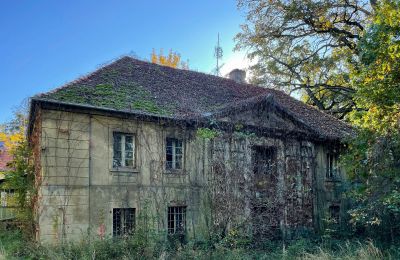 Zámek na prodej Skoraszewice, Skoraszewice  16, Velkopolské, Foto 8/8