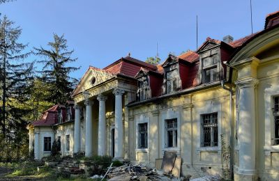 Zámek na prodej Skoraszewice, Skoraszewice  16, Velkopolské, Foto 7/8