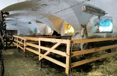 Zámek na prodej Karlovarský kraj, Přístavba