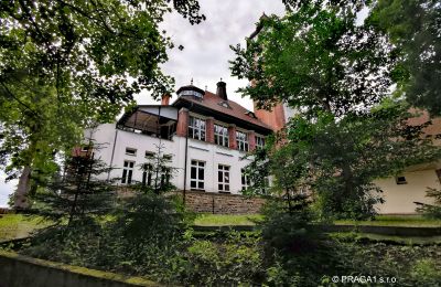 Historická vila na prodej Karlovy Vary, Karlovarský kraj, Foto 3/10