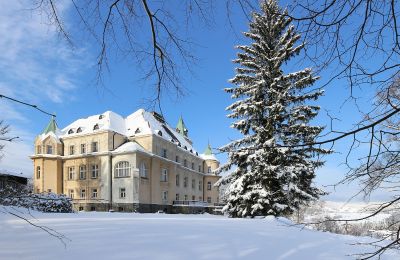 Zámek na prodej Liberec, Liberecký kraj, Pohled zezadu
