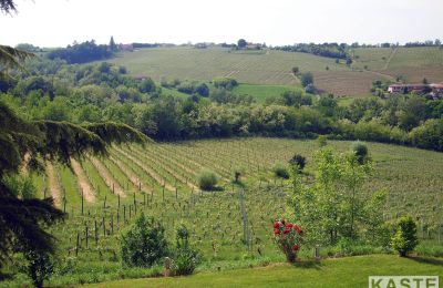 Historická vila na prodej Piemonte, Foto 12/16