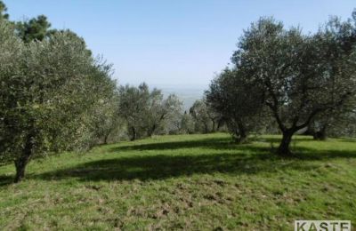 Venkovský dům na prodej Rivalto, Toscana, Foto 8/15
