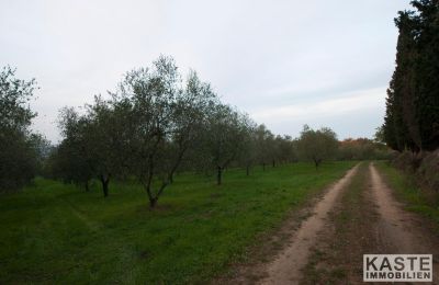 Klášter na prodej Peccioli, Toscana, Foto 14/28