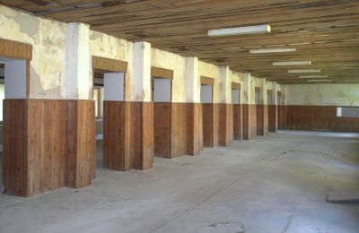 Zámeček na prodej Nitranský kraj, Foto 7/19