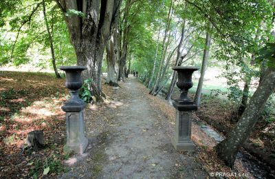 Zámek na prodej Jihočeský kraj, Park