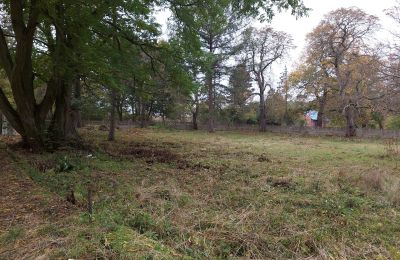 Zámek na prodej Dobrowo, Západopomořanské vojvodství, Park