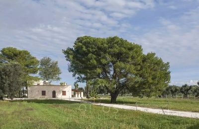 Venkovský dům na prodej Francavilla Fontana, Puglia:  