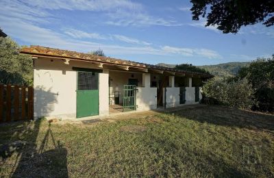 Historická vila na prodej Castiglion Fiorentino, Toscana, Foto 44/45