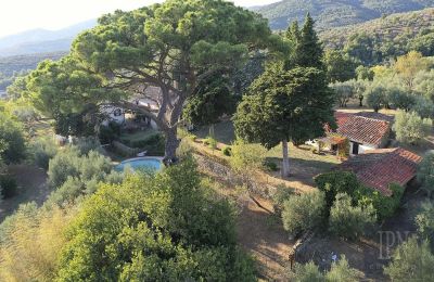 Historická vila na prodej Castiglion Fiorentino, Toscana:  