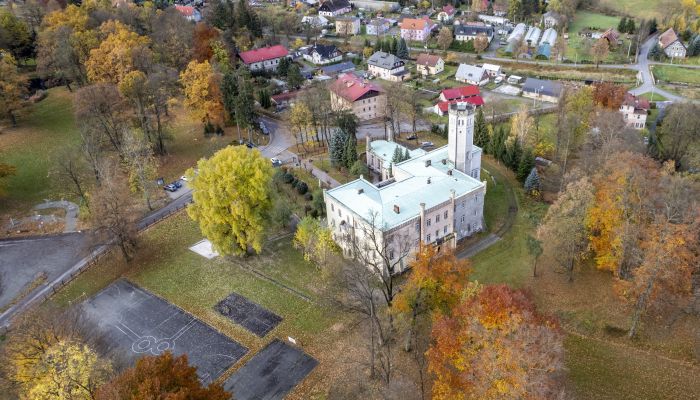 Zámek/Palác Mysłakowice 3