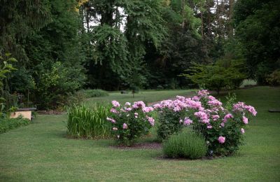 Zámek na prodej Baden-Württemberg, Park