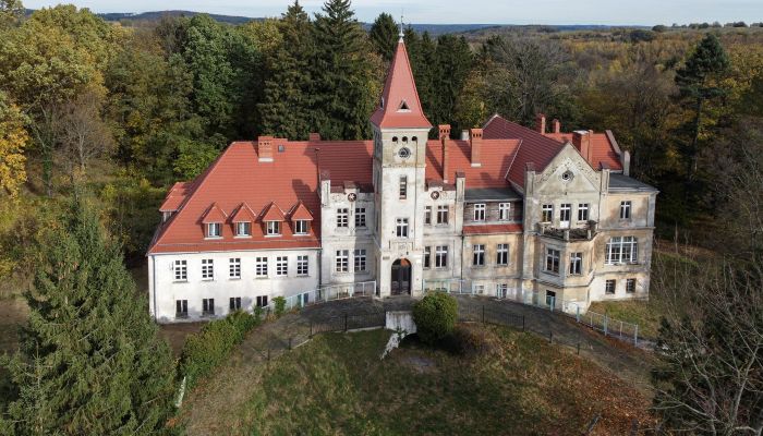 Zámek/Palác Grabiszyce Średnie, Dolní Slezsko