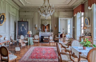 Zámek na prodej Redon, Bretagne, Salón