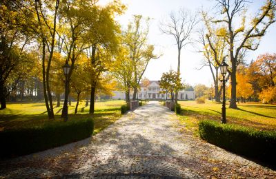 Nemovitosti, Zámeček a park ve Zborově, Velkopolsko