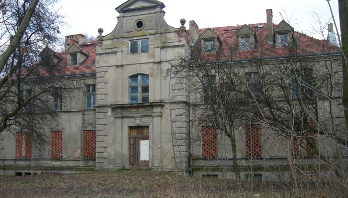  Gwoździany 2