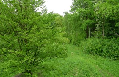 Zámek na prodej Gwoździany, Spółdzielcza 4a, Slezské vojvodství, Park