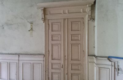 Zámek na prodej Głuchowo, Palac 1, Velkopolské, Dřevěné obložení