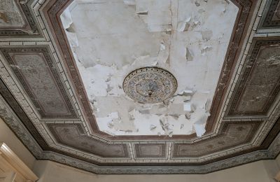Zámek na prodej Głuchowo, Palac 1, Velkopolské, Foto 9/29
