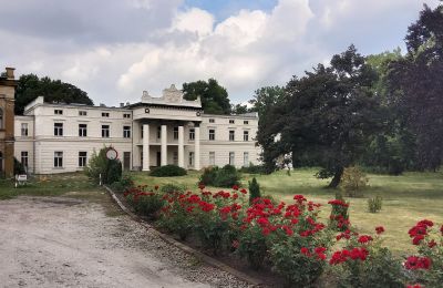 Zámek na prodej Głuchowo, Palac 1, Velkopolské, Přístup