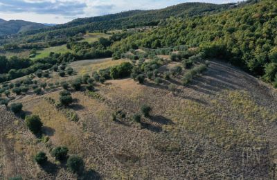 Historická věž na prodej 06019 Spedalicchio, Umbria:  