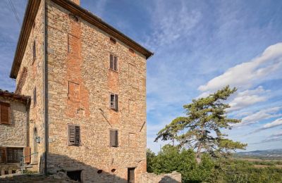 Nemovitosti, Stará strážní věž u Umbertide se 7,6 hektary olivového háje