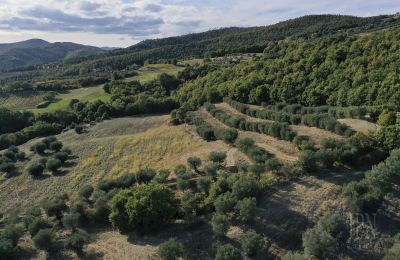 Historická věž na prodej 06019 Spedalicchio, Umbria:  