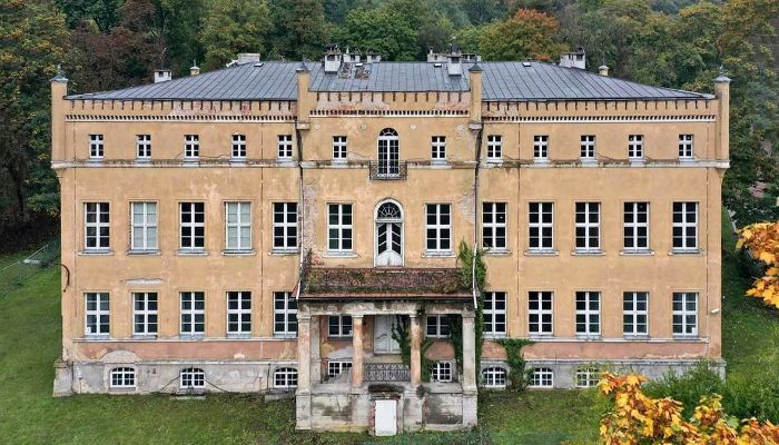 Zámek na prodej powiat gorzowski, gmina Witnica, Dąbroszyn