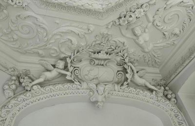 Zámek na prodej Dąbroszyn, Pałac w Dąbroszynie, Lubušské,  © Stowarzyszenie Templum