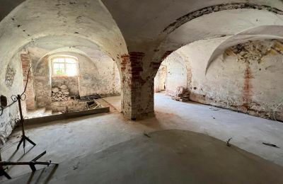 Zámek na prodej Dąbroszyn, Pałac w Dąbroszynie, Lubušské, Foto 18/25
