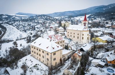 Zámek/Palác na prodej Žitenice, Zámek Žitenice, Ústecký kraj:  