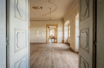 Zámek na prodej Žitenice, Zámek Žitenice, Ústecký kraj, Plesový sál