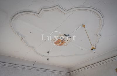 Zámek na prodej Žitenice, Zámek Žitenice, Ústecký kraj, Štuková výzdoba