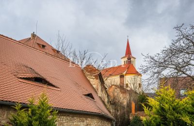 Zámek/Palác na prodej Žitenice, Zámek Žitenice, Ústecký kraj:  