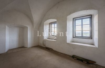 Zámek na prodej Žitenice, Zámek Žitenice, Ústecký kraj, Foto 16/31