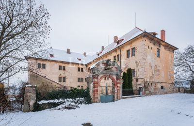 Zámek na prodej Žitenice, Zámek Žitenice, Ústecký kraj, Pohled zepředu
