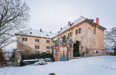 Zámek/Palác na prodej Žitenice, Zámek Žitenice, Ústecký kraj:  Pohled zepředu