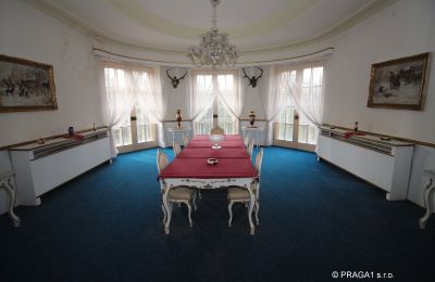 Zámeček na prodej Karlovy Vary, okres Karlovy Vary, Pohled na interiér 1