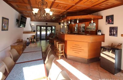 Zámeček na prodej Levín, Ústecký kraj, Foto 6/19