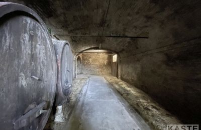 Historická vila na prodej Santo Pietro Belvedere, Toscana, Foto 13/14