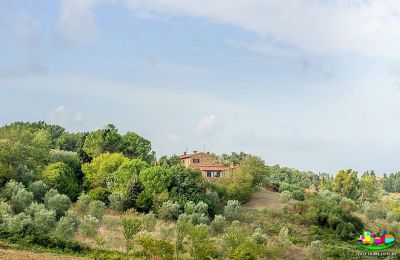Venkovský dům na prodej Livorno, Toscana, Foto 15/16