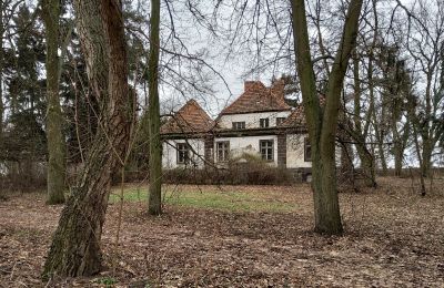 Zámeček na prodej Leszno, Velkopolské, Boční pohled