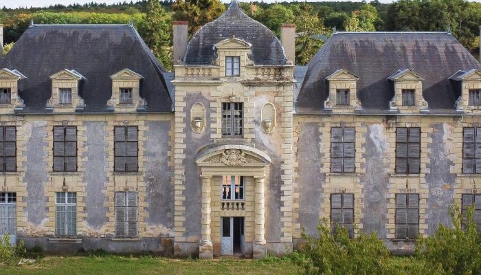 Zámek/Palác na prodej Loudun, Nouvelle-Aquitaine,  Francie