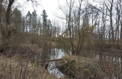Zámeček na prodej Drawno, Západopomořanské vojvodství, Jezero/rybník