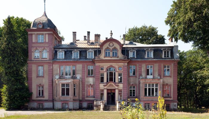 Zámek/Palác na prodej Brzeźnica, województwo lubuskie,  Polsko