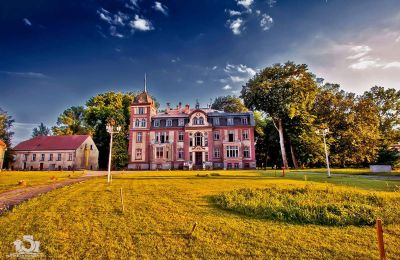 Zámek na prodej Brzeźnica, Bobrzańska 1, Lubuszské vojvodství, Stan wspołczesny