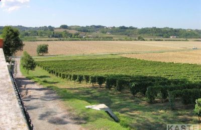 Historická vila na prodej Terricciola, Toscana, Pozemek