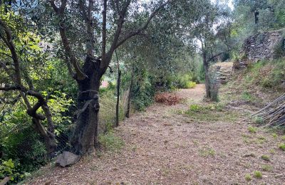 Venkovský dům na prodej Conscente, Liguria, Foto 9/17