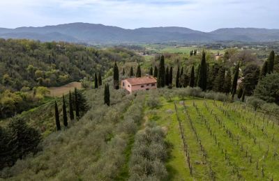 Venkovský dům na prodej Vicchio, Toscana, Foto 36/39
