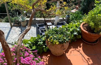 Venkovský dům na prodej Poggio Bottaro, Liguria, Foto 15/30